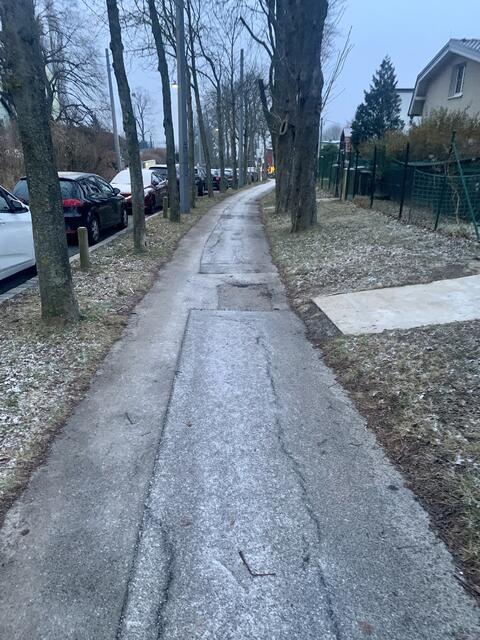 Foto: Baumschutz Ottakring