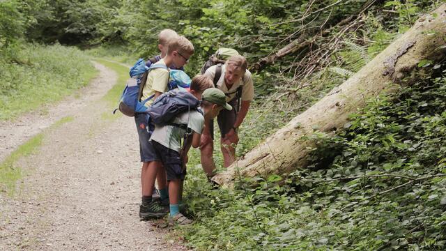 Foto: homas Hackl Film &amp; Minapictues Filmstill