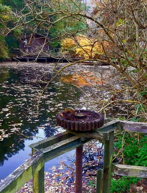 Herbst Impressionen Teich bei der Hammerschmiede AggsbachDorf Melk