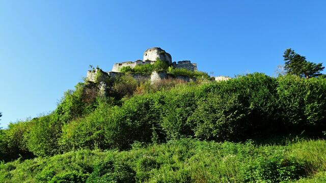 &gt;&gt;&gt; Suchbild: "Wer findet die Gams?" 
Gesucht wurde die Gams, die sich auf der rechten Burgmauer niedergelassen hatte. ... | Foto: Silvia Plischek