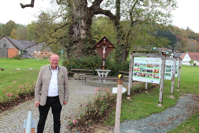 Bürgermeister Robert Hammer bei der Schwarzpappel. | Foto: WOCHE