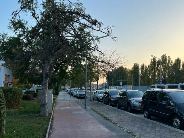 Einige beklagten, der Geh- und Radweg wäre hier zu schmal. | Foto: Sixtl