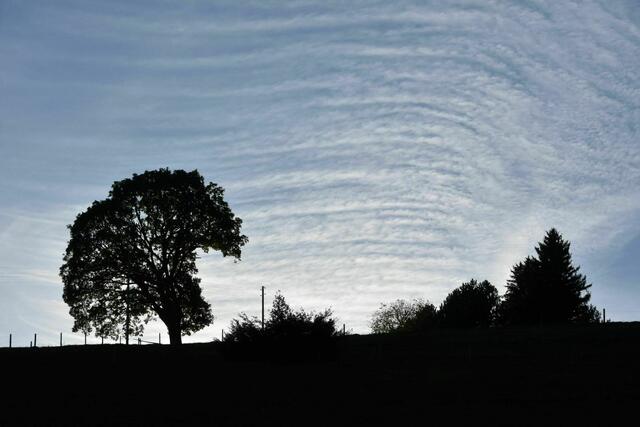 Foto:  Alfred Schmutz