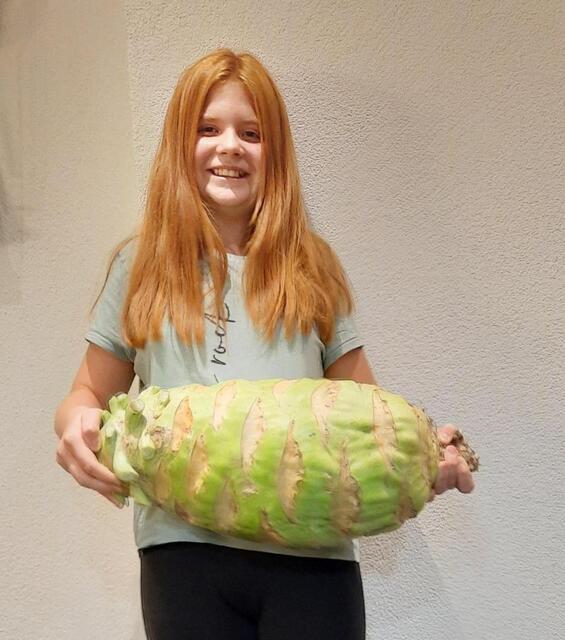 11.000 Gramm: Die 12-jährige Pia Grünauer von der MS Fließ holte mit ihrem Kohlrabi den Bezirkssieg. | Foto: © privat