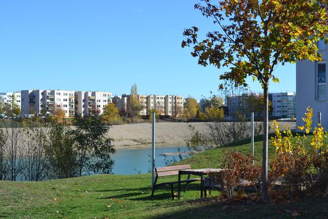 Ich setze den Rundgang am See fort