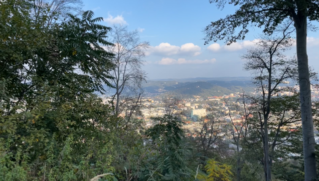 Die Grünen Bezirksgruppen von Gösting und Eggenberg erkunden mit einer Wanderung am 29. Oktober die herbstliche Flora und Fauna am Plabutsch. | Foto: RegionalMedien Steiermark