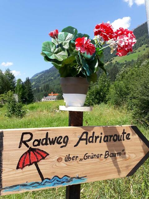 Der alte Wegweiser half Radfahrern bei der Orientierung. Jetzt wurde er mutmaßlich gestohlen. | Foto: Waggerl