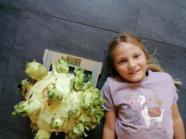 Amelie Nothegger mit ihrem Kohlrabi (9.300 Gramm). | Foto: OGV/Grünes Tirol