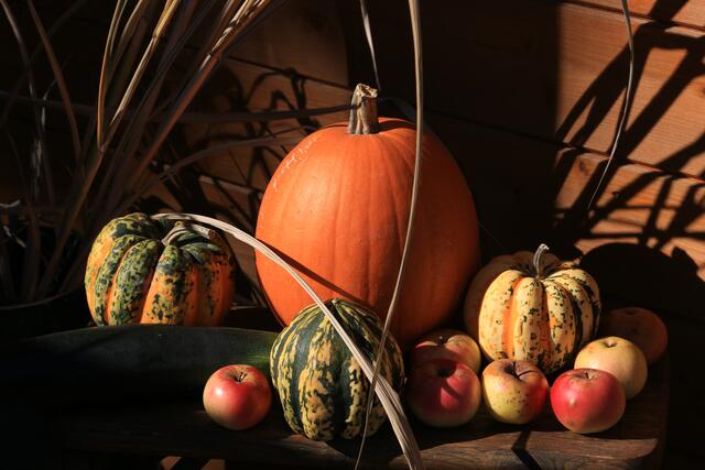 Kürbisse sind eine hervorragende Herbstdekoration im Garten. | Foto: Alois Kaiser