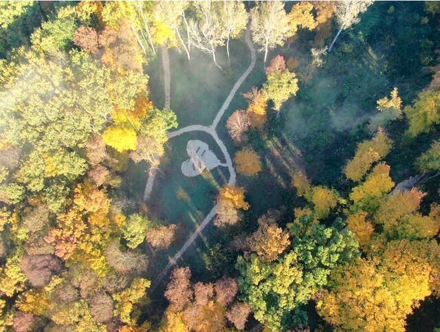 Im Rohrwald bei Oberrohrbach gibt es einen Waldfriedhof. | Foto: Klosterwald