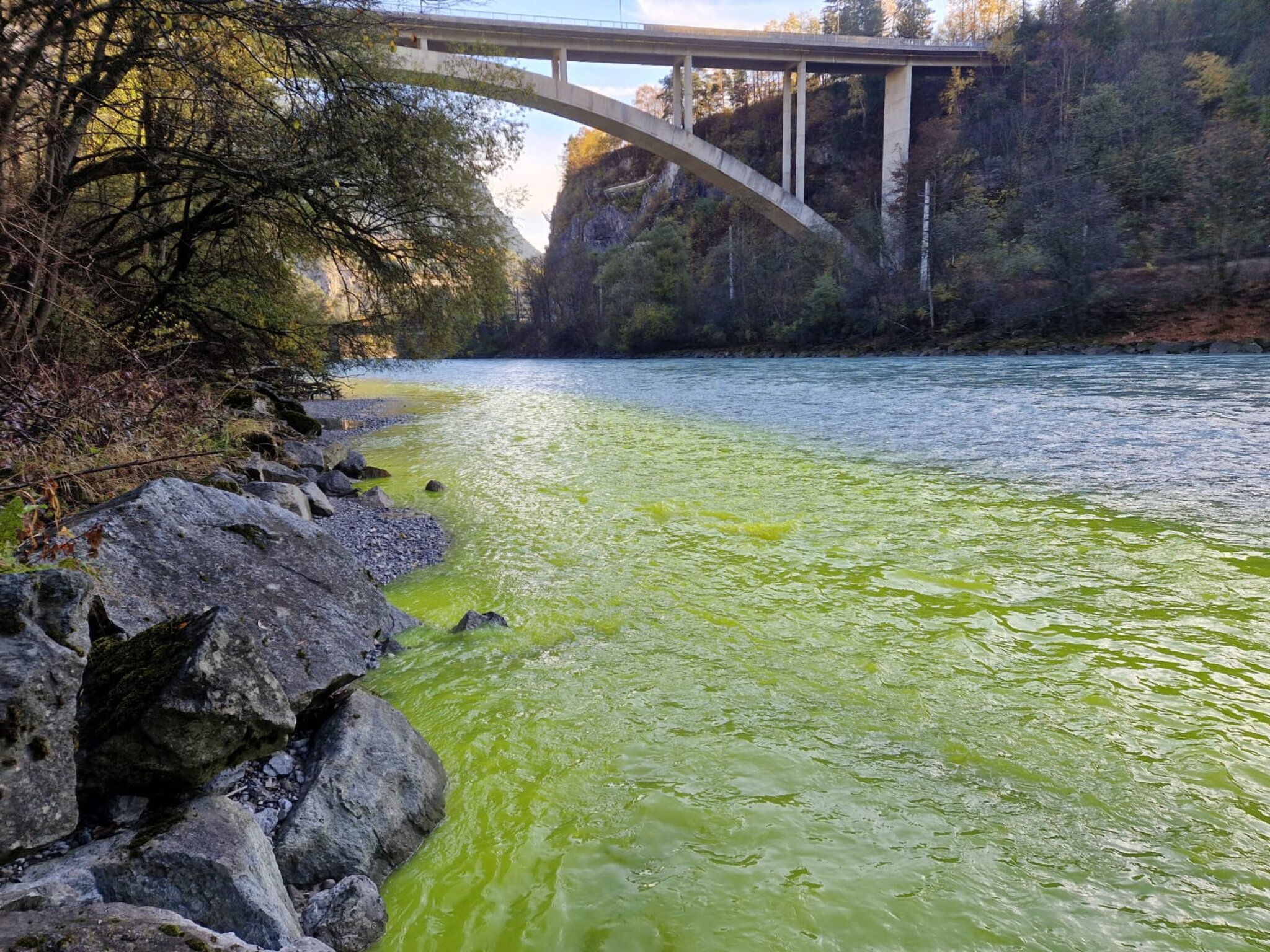 Vermutlich Latexfarbe: „Grüne Suppe“ fließt in den Bigerbach bei Imst ...