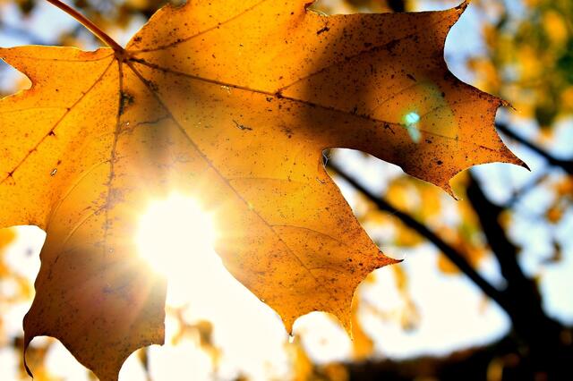 Der Oktober 2022 endet mit viel Sonnenschein und einem Wärmerekord. | Foto: Pixabay/TanyaSunny (Symbolbild)