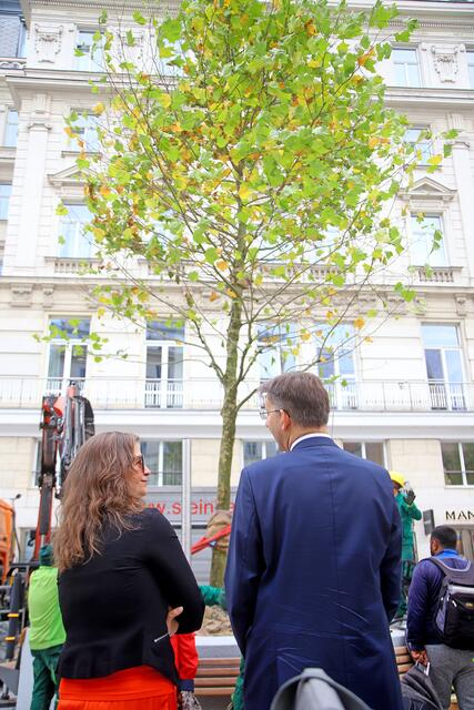 "XL-Bäume" bezeichnet großkronige Bäume, die 25 Jahre alt oder sogar älter sind. Sie sorgen für reichlich Schatten. | Foto: PID/VOTAVA
