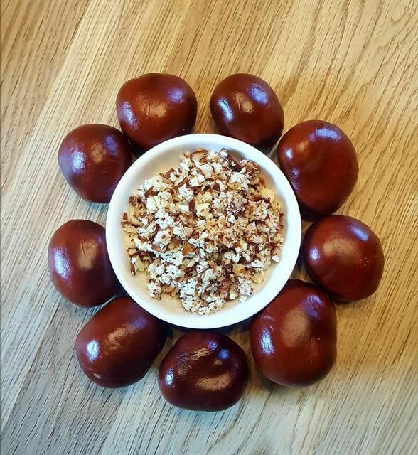 Pulver aus Rosskastanien | Foto: Rabenkräuter