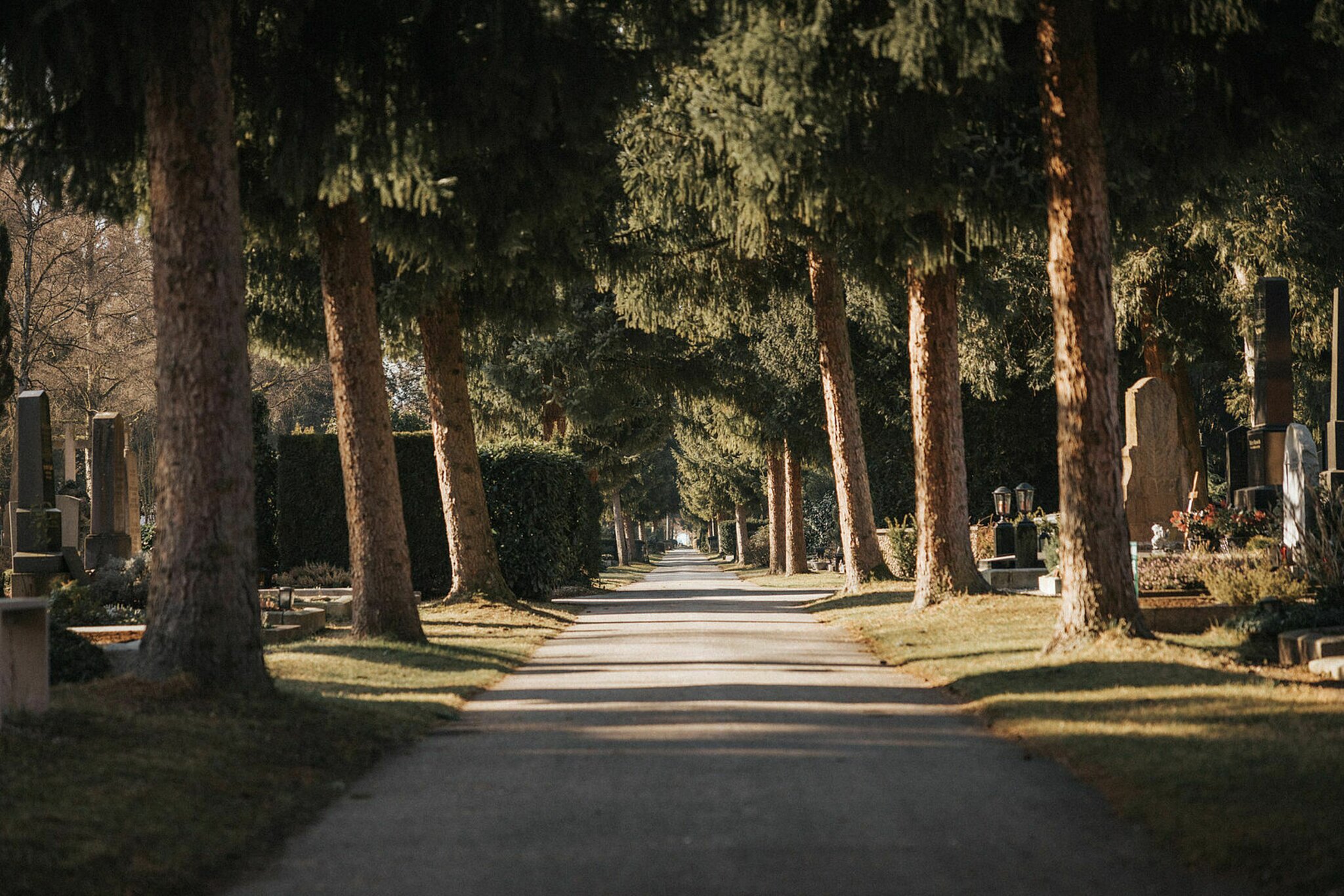 Municipal cemeteries Extended opening hours around All Saints’ Day