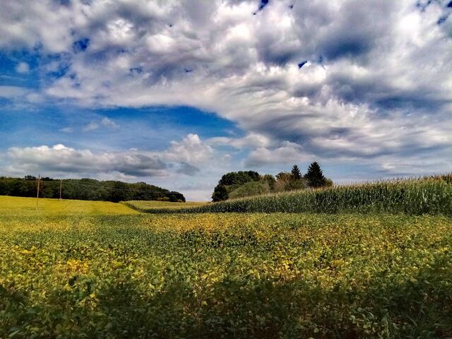Goldener Herbst | Foto: Regionautin Michaela Gold