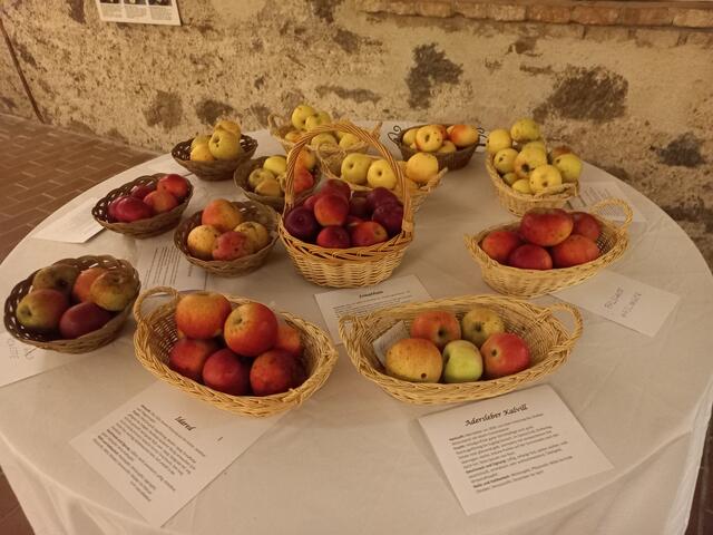 Foto: Kindergarten Großpetersdorf