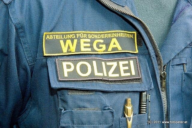 Die WEGA rückte aus. | Foto: LPD Wien