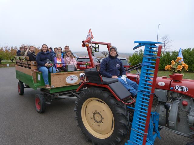 Der Rotweinherbst hat begonnen! Christian Szauer chauffierte die Festbesucher:innen durch Horitschon!