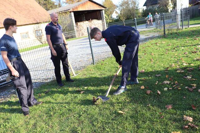 Dennis sticht die Grasnarbe ab, beim Ausheben des Pflanzlochs bekommt er Hilfe von Arwin | Foto: Edith Ertl