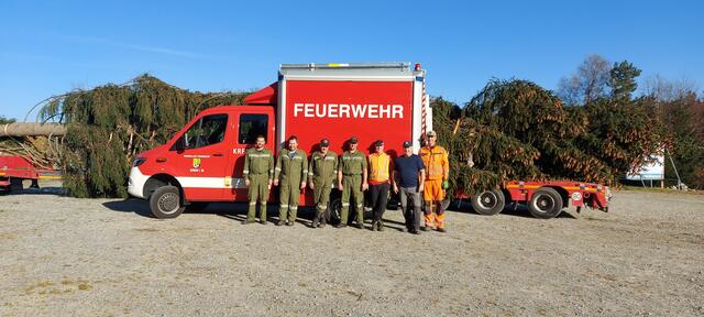Der Baum wurde für den Transport vorbereitet. | Foto: FF Aigen