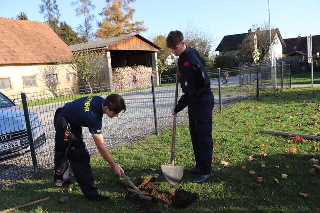Jetzt braucht es einen Krampen, um kindskopfgroße Steine aus dem Pflanzloch zu räumen. | Foto: Edith Ertl