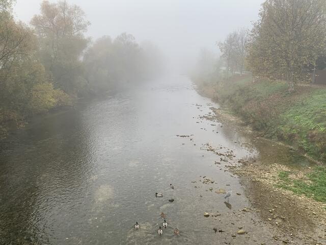 Zeig uns deine besten Schnappschüsse: Bilder der Woche 📸 - Neunkirchen