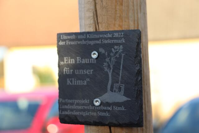 Foto: Edith Ertl