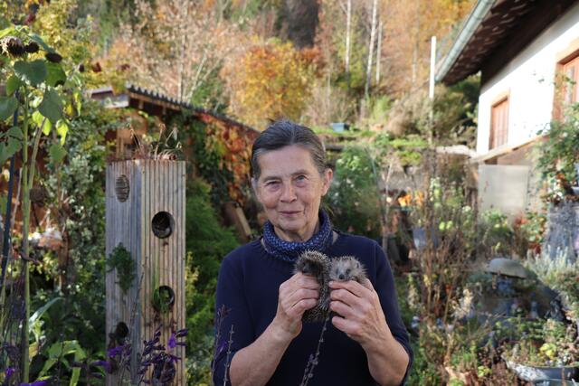 Gabriele Reisinger mit einem jungen Braun- und einem Weistbrustigel – beide sind in Oberösterreich heimisch.  | Foto: Steiner-Watzinger