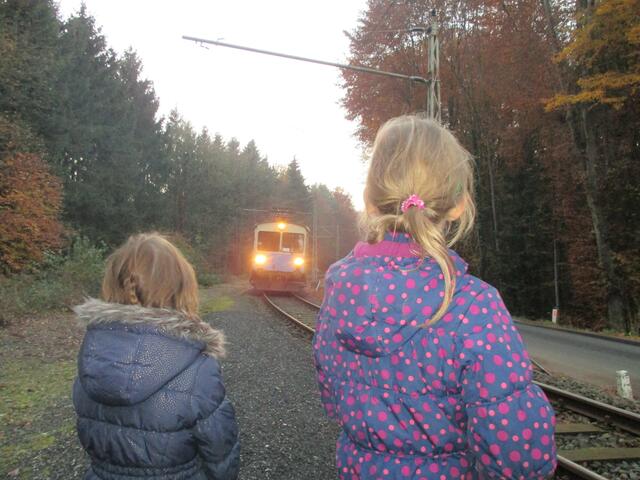 Vor allem unter den Kindern sind die Advent- und Weihnachtszüge auf der Gleichenberger Bahn beliebt. | Foto: Fahrgast