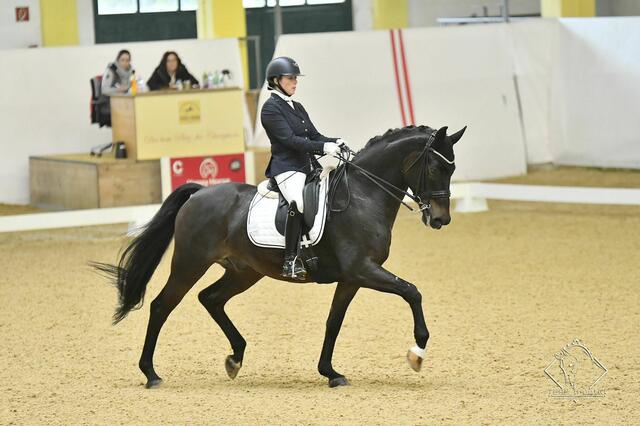 Belinda Weinbauer auf Danieli VMT | Foto: Team Myrtill