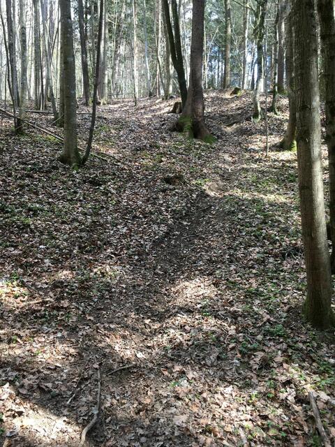 Foto: Berg- und Naturwacht Weiz