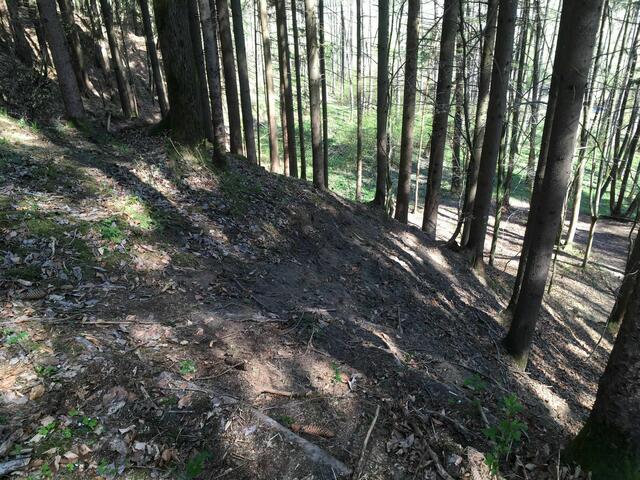 Foto: Berg- und Naturwacht Weiz