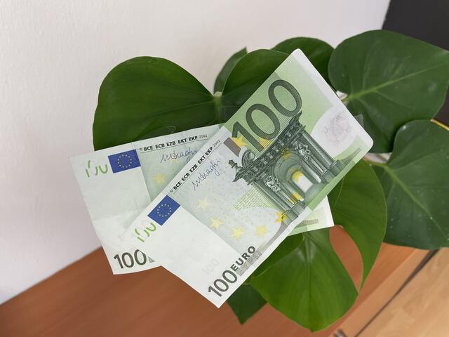 Seit Anfang September wird der Klimabonus ausbezahlt – auch an Personen, die nach dem 3. Juli verstorben sind. | Foto: Alexandra Goll