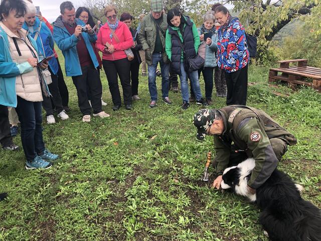 Ein Teil der Kneipper bei der Trüffelsuche im istrischen Slowenien, im Hinterland von Portoroz. | Foto: Privat