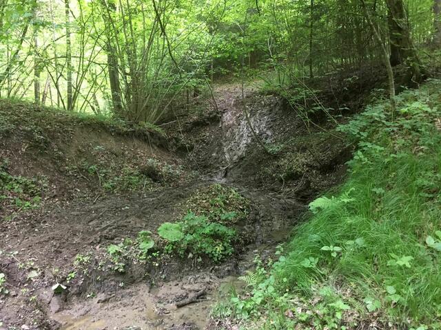 Foto: Berg- und Naturwacht Weiz