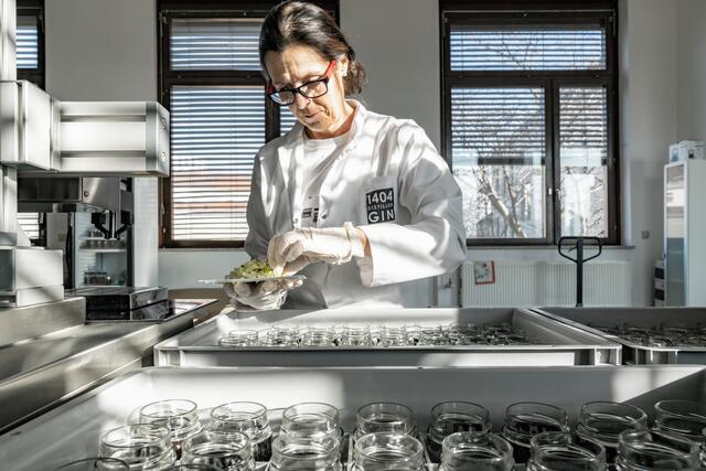 Foto: Niki Schreilechner