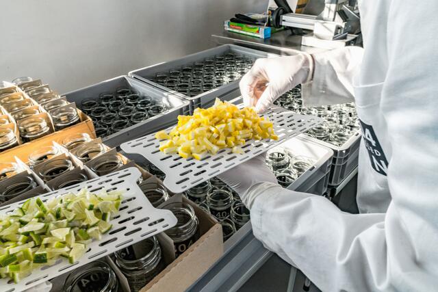 Foto: Niki Schreilechner