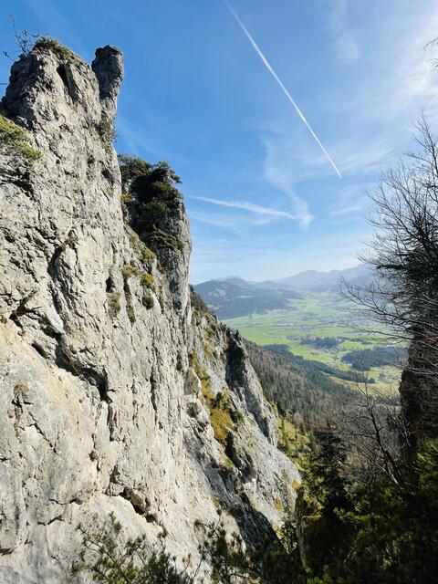 Am Steig in Richtung Gscheuerkopf. | Foto: Kogler