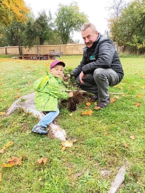 Baumsetzen im Kindergarten | Foto: Marktgemeinde Waldkirchen