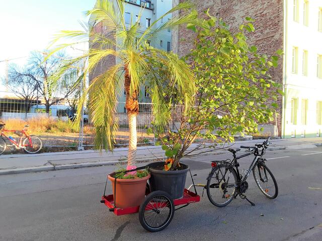 Für eine radfahrfreundliche und verkehrsberuhigte Rebhanngasse veranstaltete die Radlobby Leopoldstadt & Brigittenau eine Straßenblockade. | Foto: Molly Wurth
