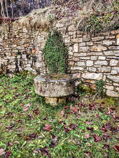 Foto: Monika Fraunlob