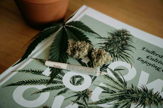 Cannabis wurde im Suchtbericht für viele Menschen als Problemdroge identifiziert. | Foto: Symbolbild: Unsplash/Shelby Ireland