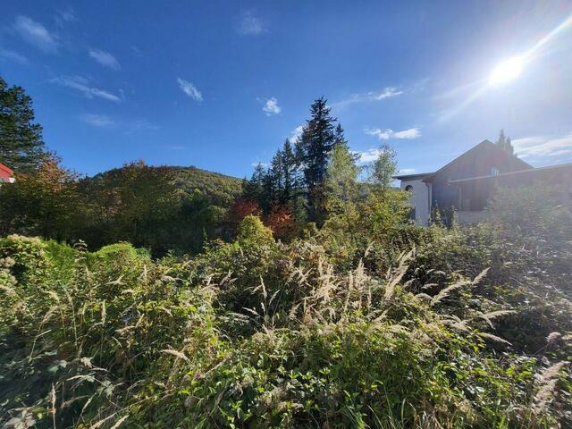 KALTENLEUTGEBEN, Baugrund mit schönem Ausblick in den Wienerwald, 689m², Süd-Osthang, € 450.000,- Oj. 2617 | Foto: Immobilien Mörtl GesmbH