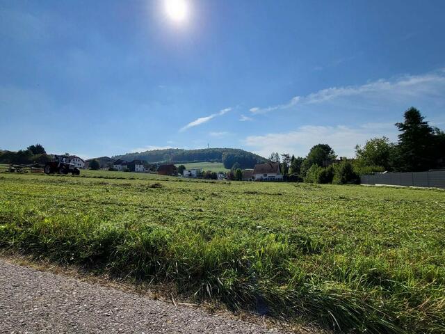 GRUB IM WIENERWALD, 3 Baugründe in schöner Lage zu vergeben, ab 800m², ab 360.000,-  Obj. 2506   | Foto: Immobilien Mörtl GesmbH