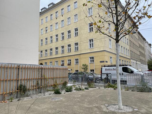 Aus Parkplätzen wurde ein begrünter Schanigarten. Im nächsten Jahr werden noch mehr Pflanzen gesetzt. | Foto: Hannah Maier