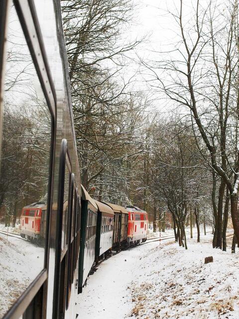 Der Reblaus Express unterwegs als vorweihnachtlicher Nikolauszug. | Foto: Alfred Polt