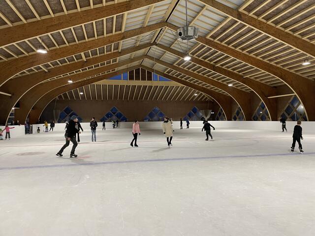 Eissport in Baden & Mödling: Wo Eislaufen in der Region heuer möglich ...