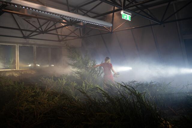 Im Zuge der Vernissage fällte er einen ganzen Wald. | Foto: Viola Victoria Voldrich