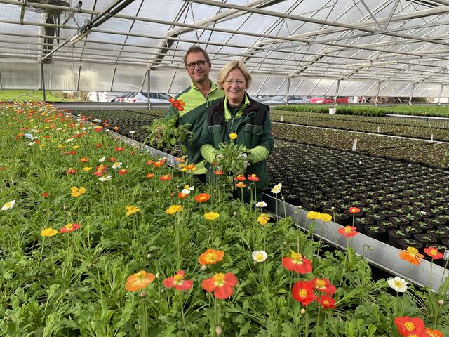 Blühender Mohn für den Frühling: Petra Schöpf und Wilfried Ristits vom Gartenamt  | Foto: Lisa Gold